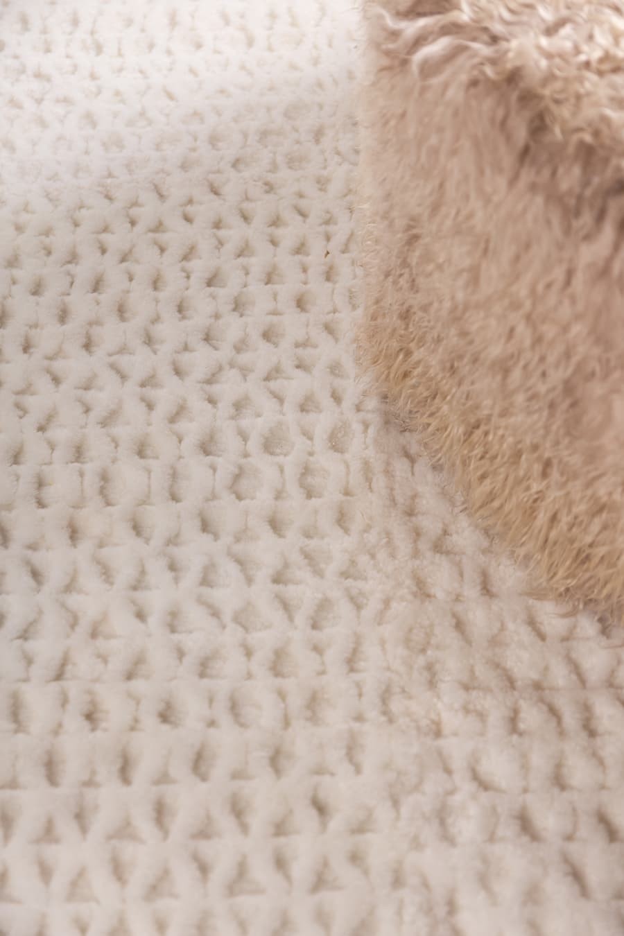AMANDA - Sculpted Natural Rug