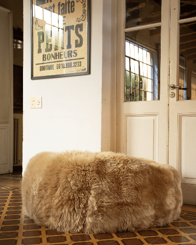 Fur Bean Bag Pouf