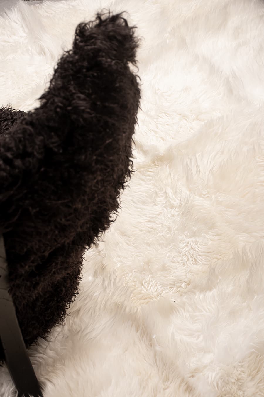 SNOW – Long Hair Sheepskin Rug