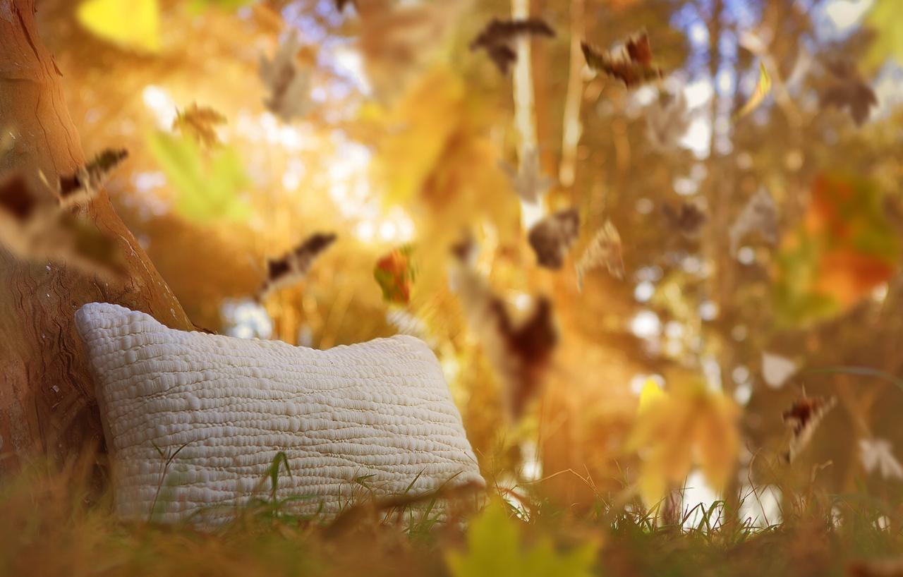 Natural Textured Wool Pillow