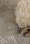 AMANDA - Sculpted Grey Rug
