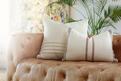 Decorative Throw Pillows
