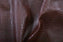 NILE CROCO - Brown Leather